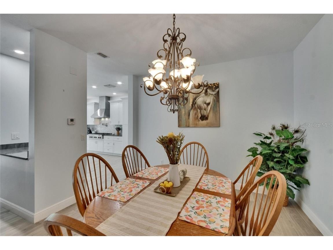 10515 Canary Isle Drive Tampa FL 33647 TB8392381 image11