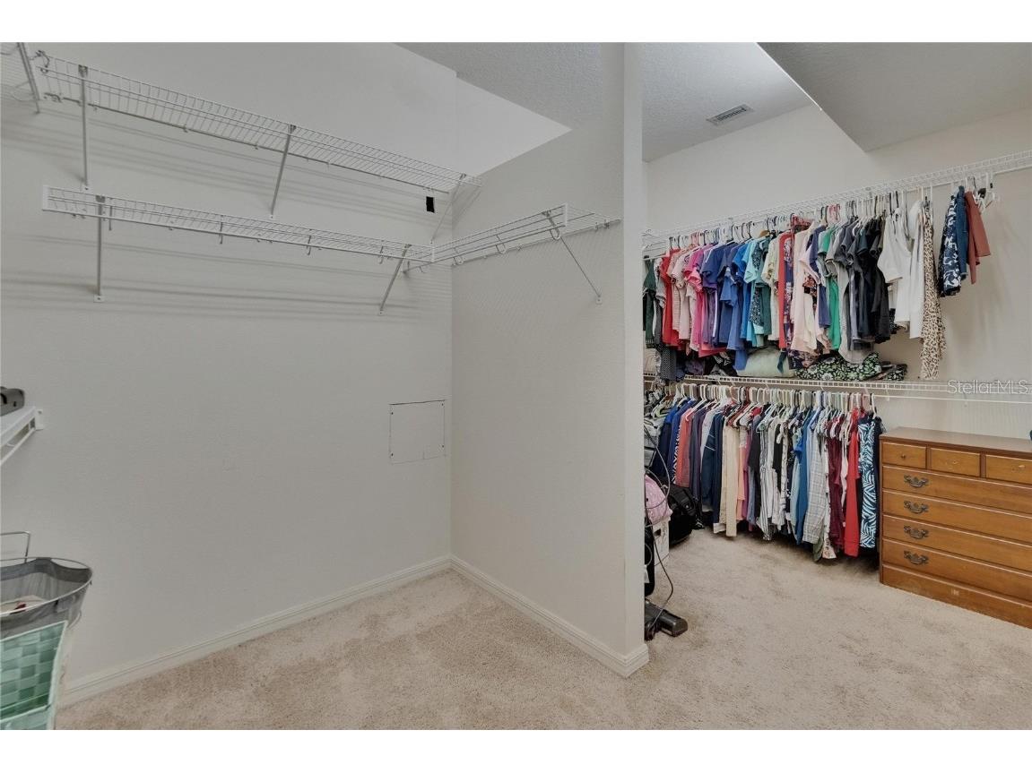 10515 Canary Isle Drive Tampa FL 33647 TB8392381 image28