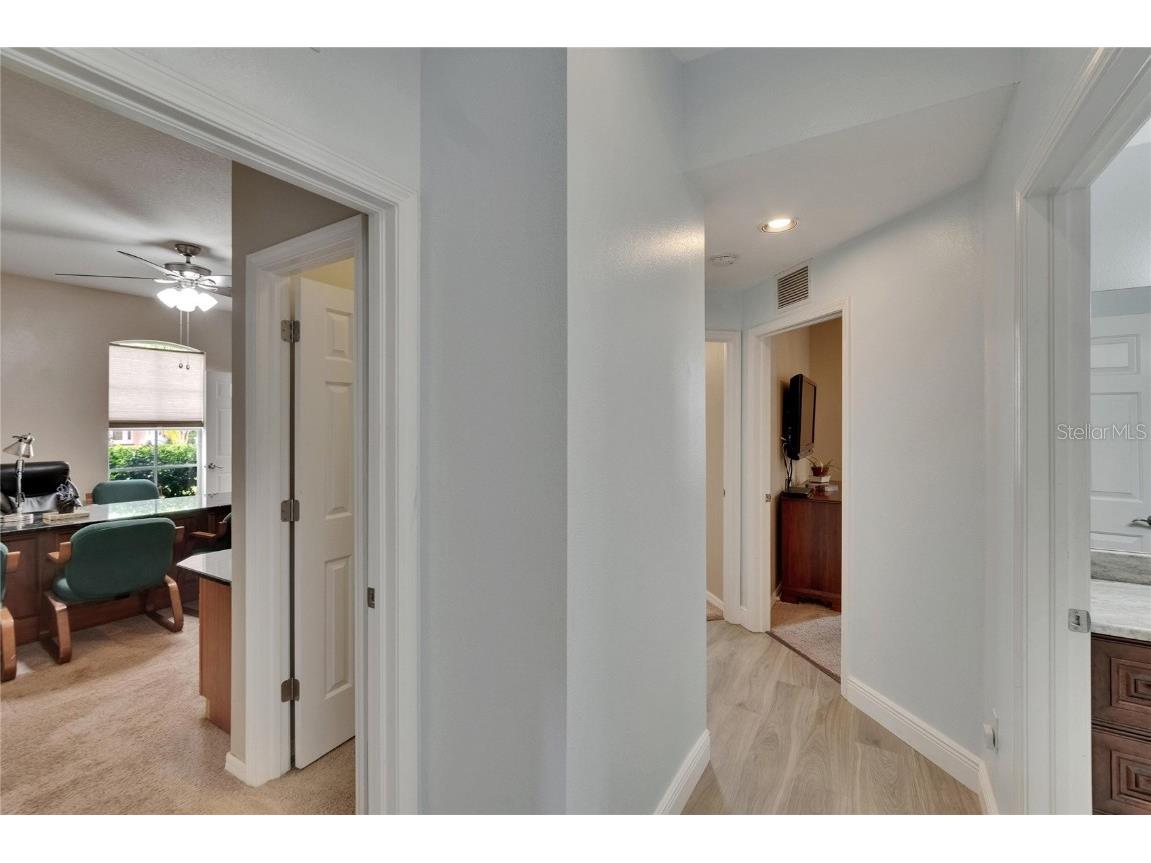 10515 Canary Isle Drive Tampa FL 33647 TB8392381 image38