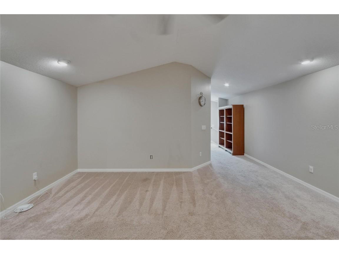 10515 Canary Isle Drive Tampa FL 33647 TB8392381 image56