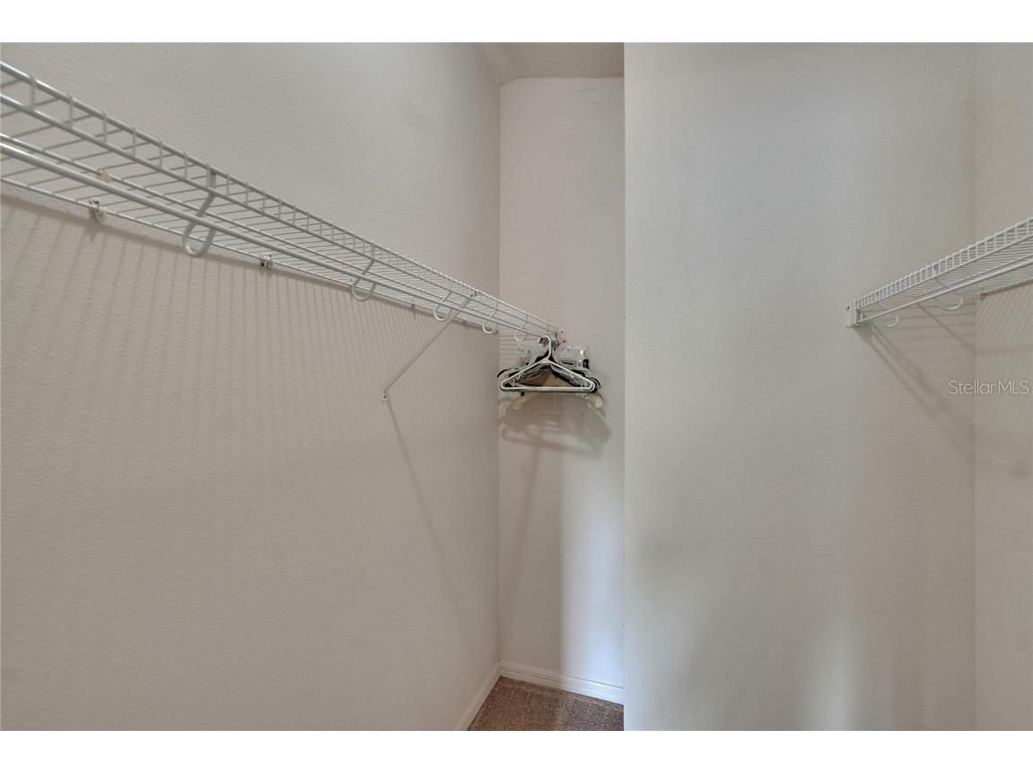 10515 Canary Isle Drive Tampa FL 33647 TB8392381 image60