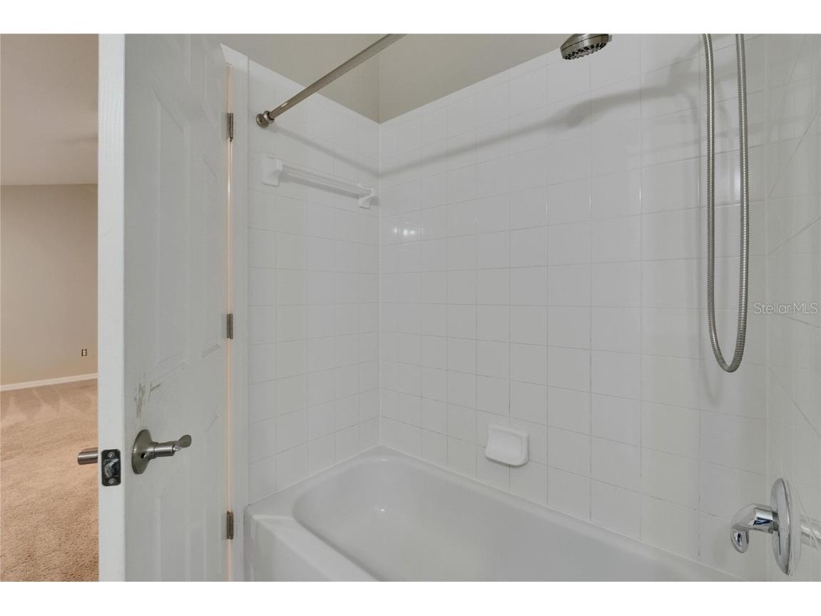 10515 Canary Isle Drive Tampa FL 33647 TB8392381 image63