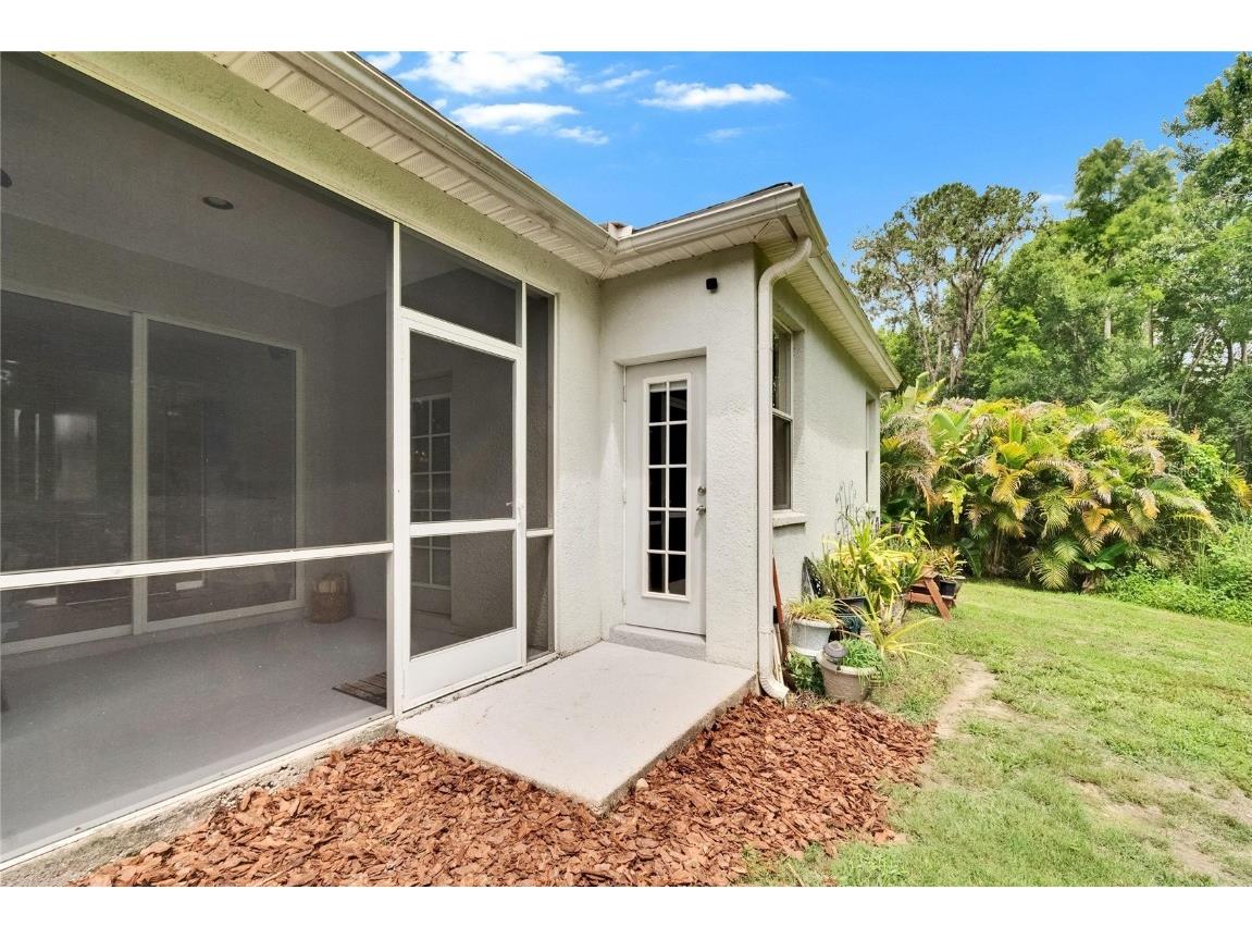 10515 Canary Isle Drive Tampa FL 33647 TB8392381 image68