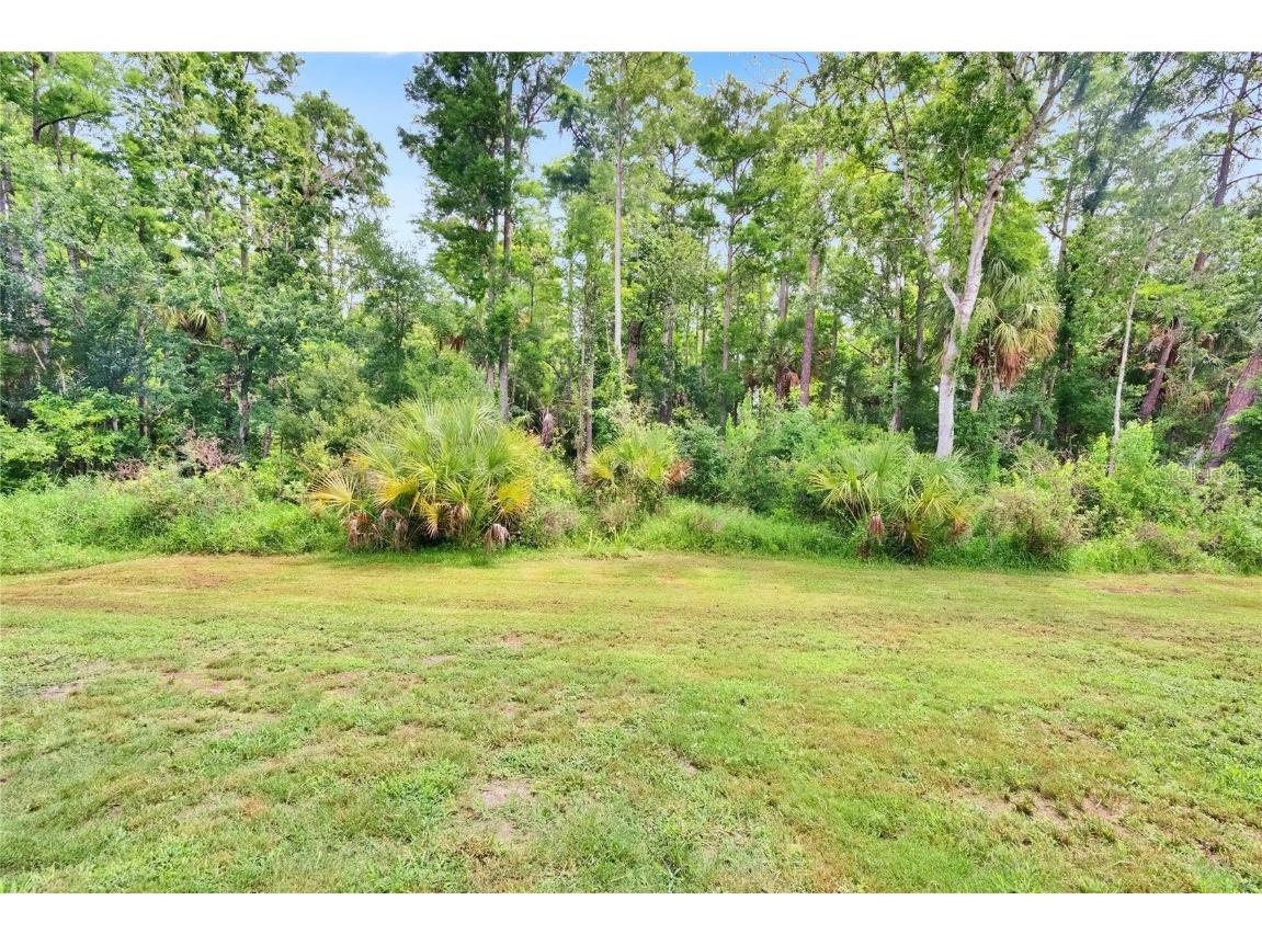 10515 Canary Isle Drive Tampa FL 33647 TB8392381 image70