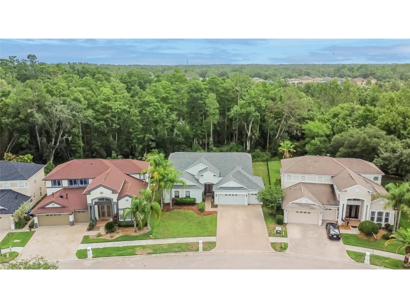 10515 Canary Isle Drive Tampa FL 33647 TB8392381 image71