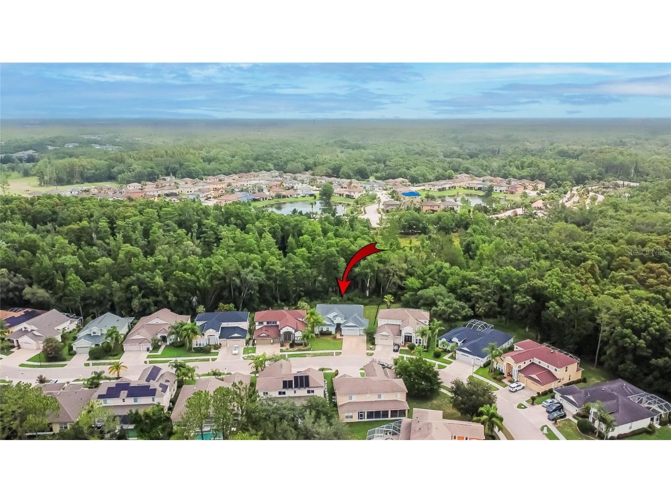 10515 Canary Isle Drive Tampa FL 33647 TB8392381 image72