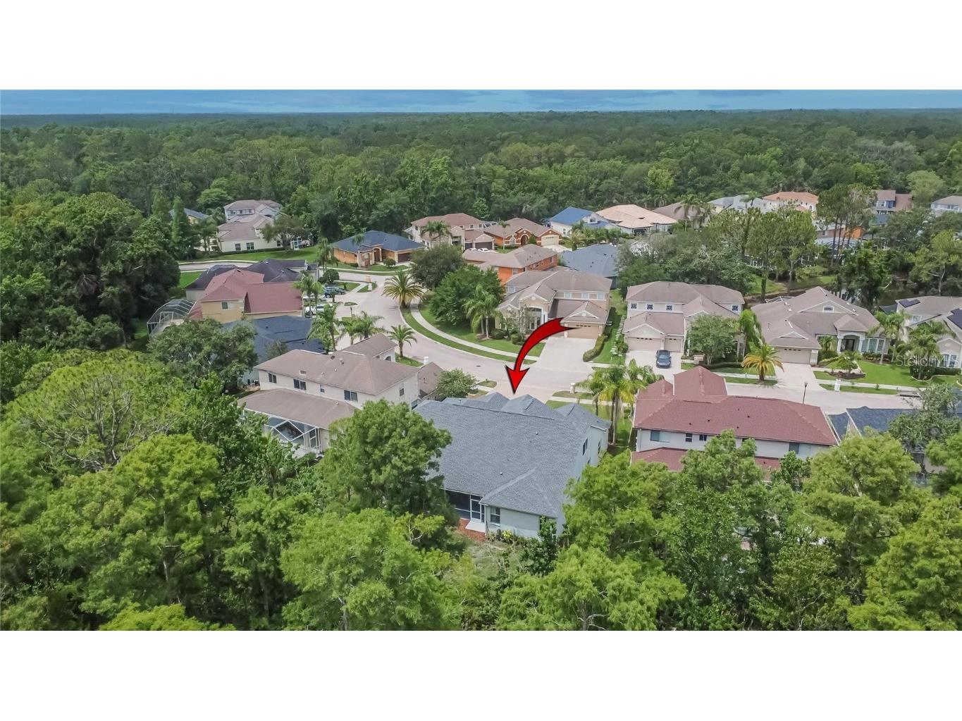 10515 Canary Isle Drive Tampa FL 33647 TB8392381 image74