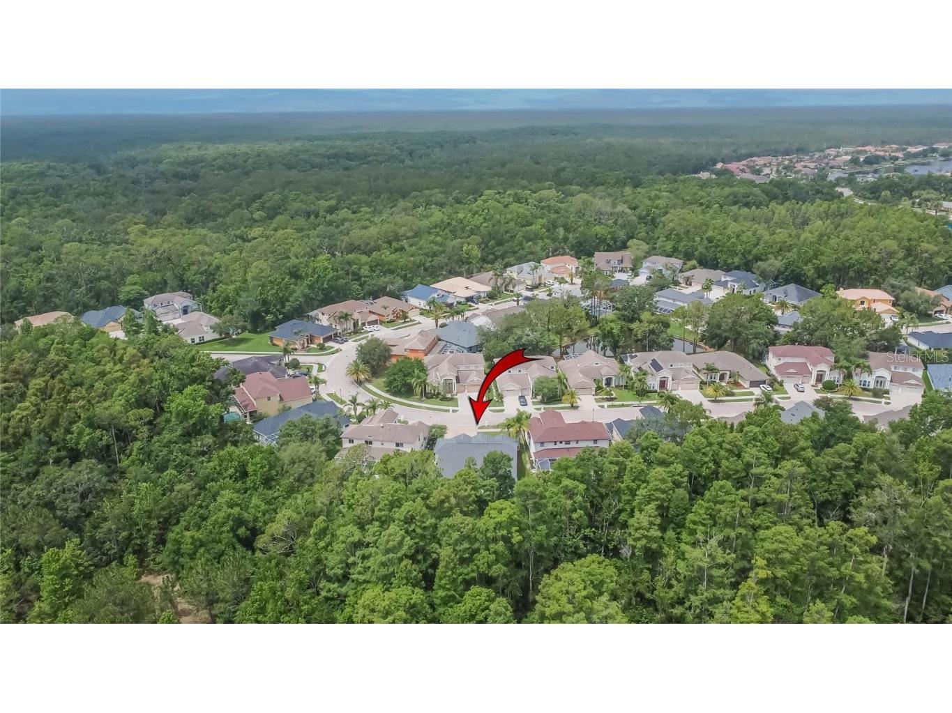 10515 Canary Isle Drive Tampa FL 33647 TB8392381 image75