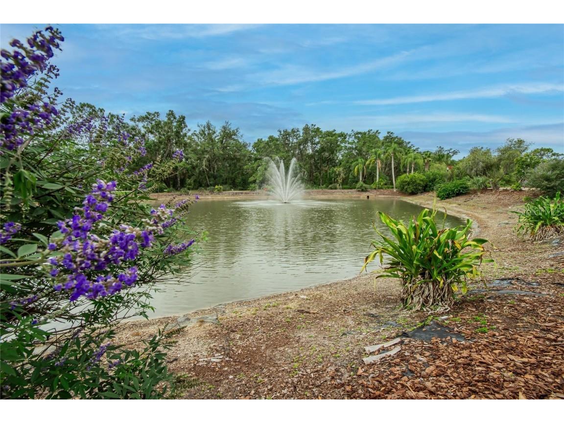 10515 Canary Isle Drive Tampa FL 33647 TB8392381 image77