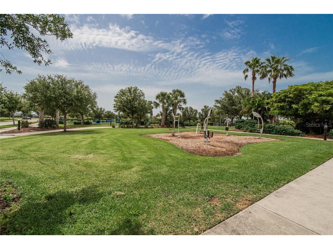 10515 Canary Isle Drive Tampa FL 33647 TB8392381 image78