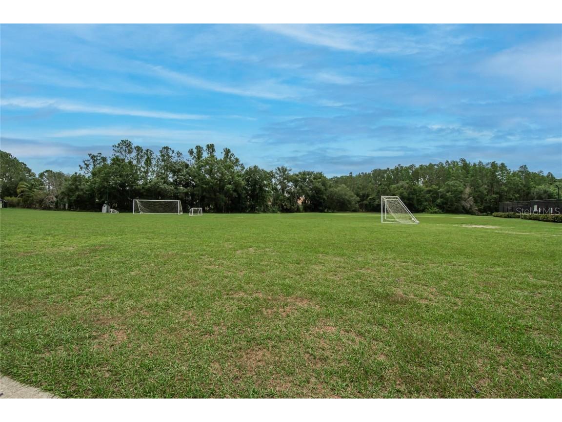 10515 Canary Isle Drive Tampa FL 33647 TB8392381 image79