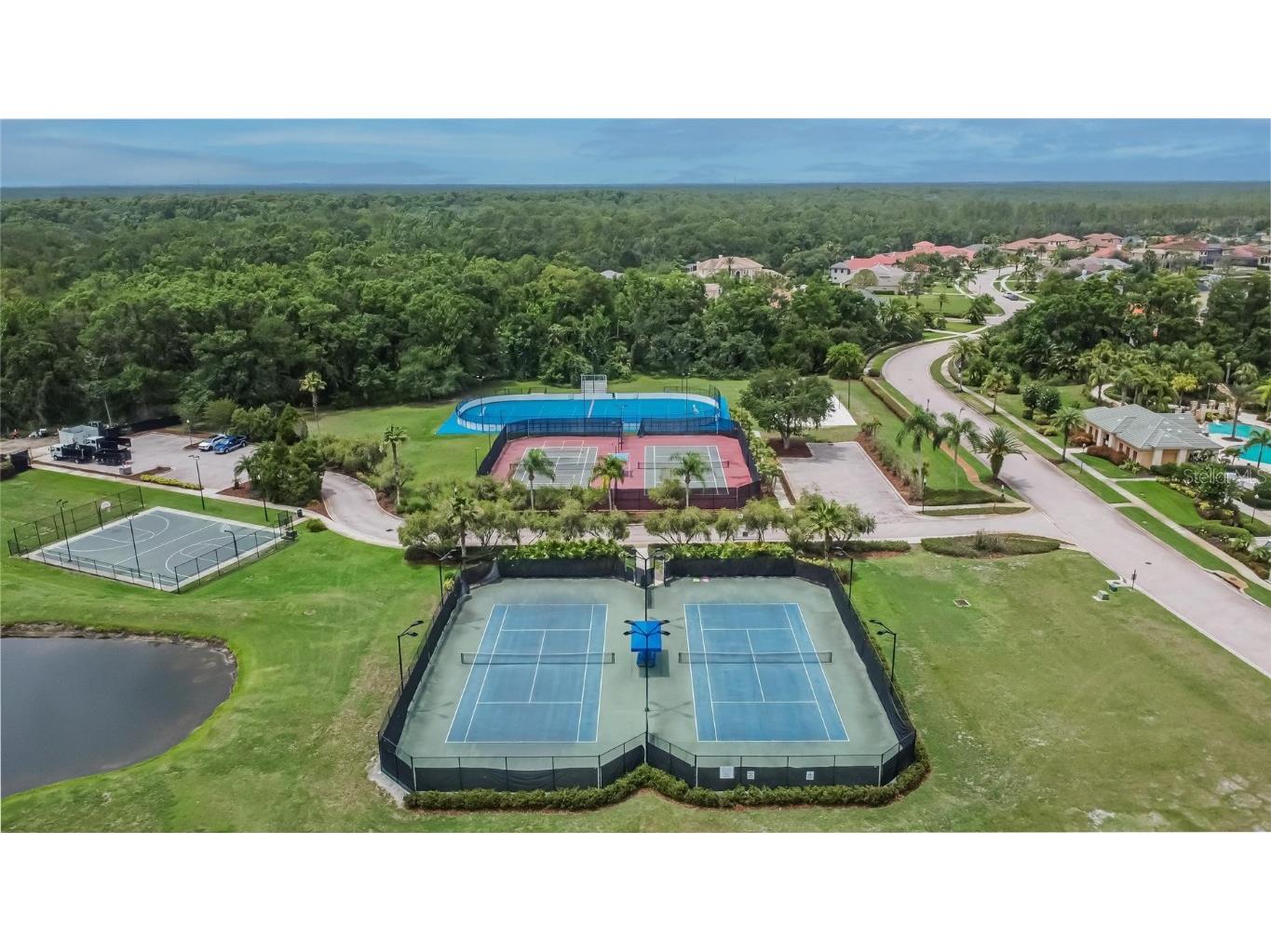 10515 Canary Isle Drive Tampa FL 33647 TB8392381 image85