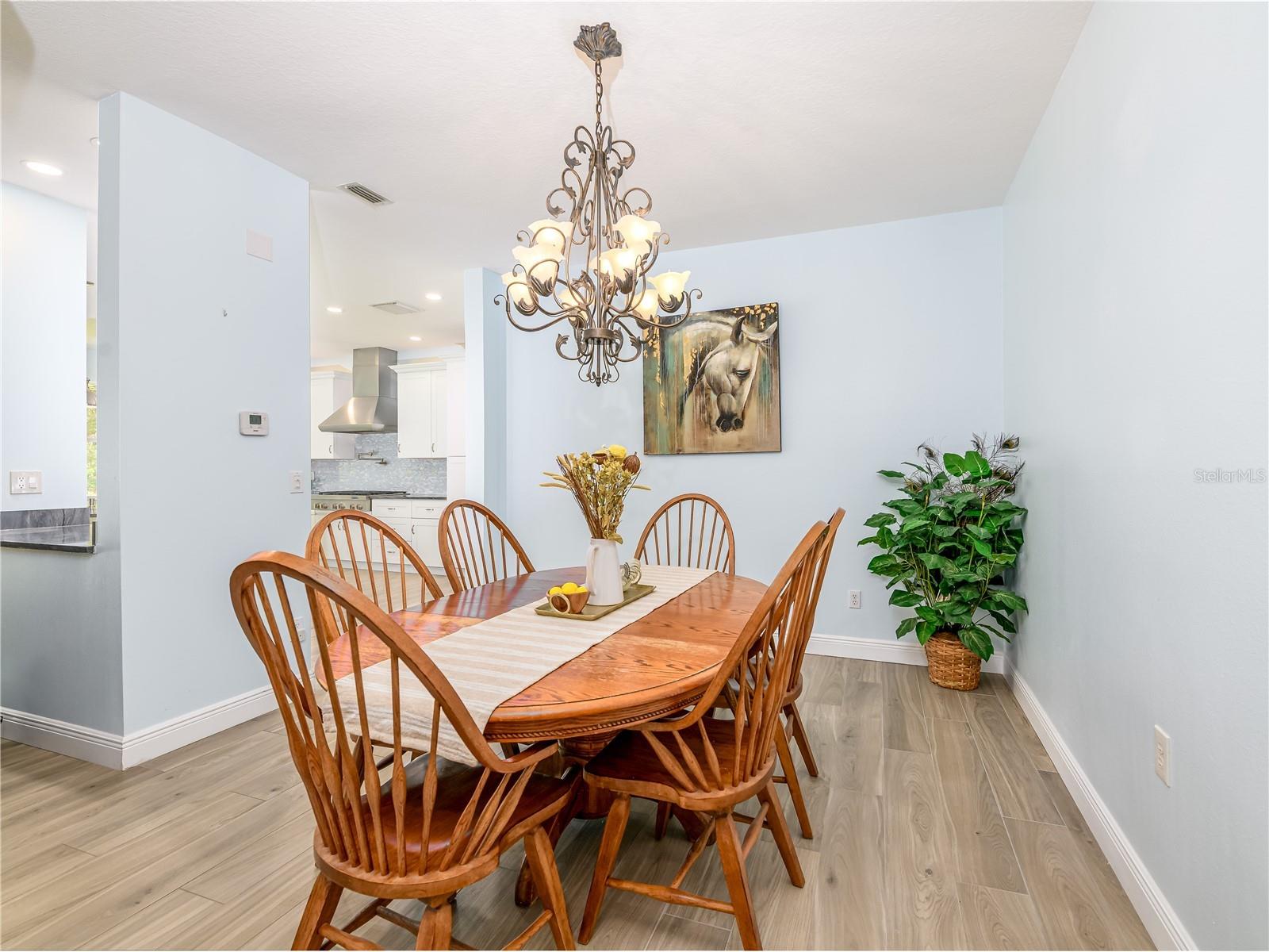 10515 Canary Isle Drive Tampa FL 33647 TB8487456 image16