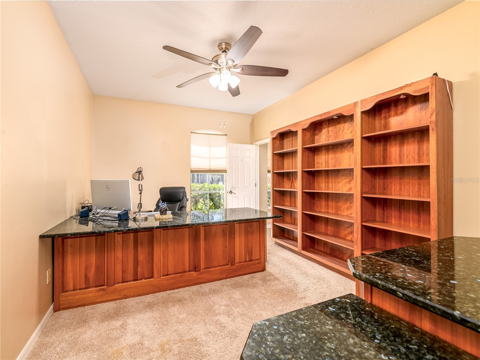 10515 Canary Isle Drive Tampa FL 33647 TB8487456 image26