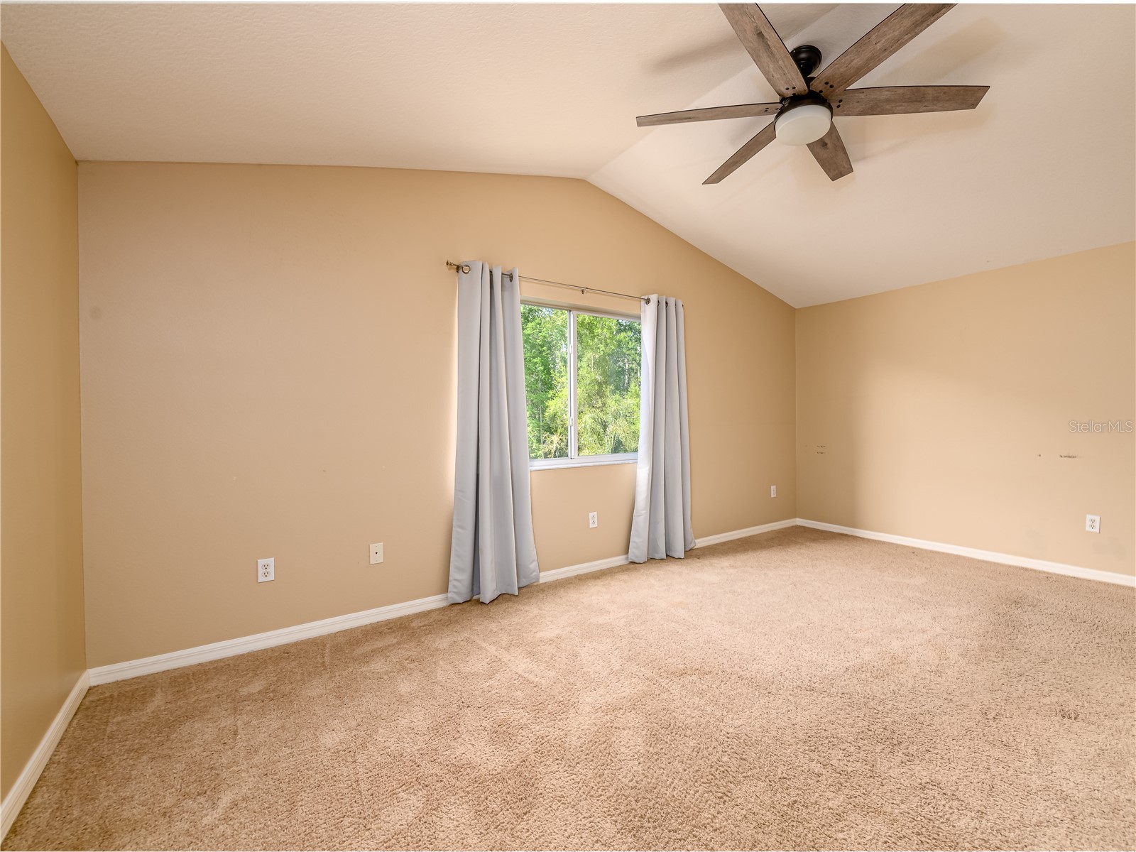 10515 Canary Isle Drive Tampa FL 33647 TB8487456 image37