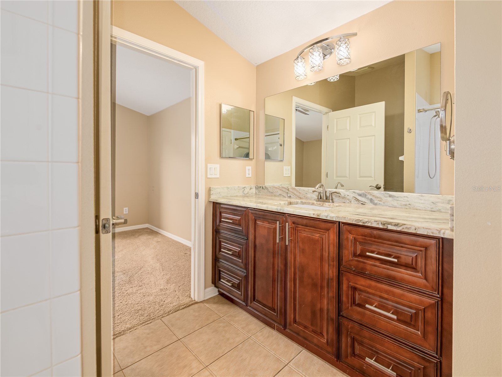 10515 Canary Isle Drive Tampa FL 33647 TB8487456 image41