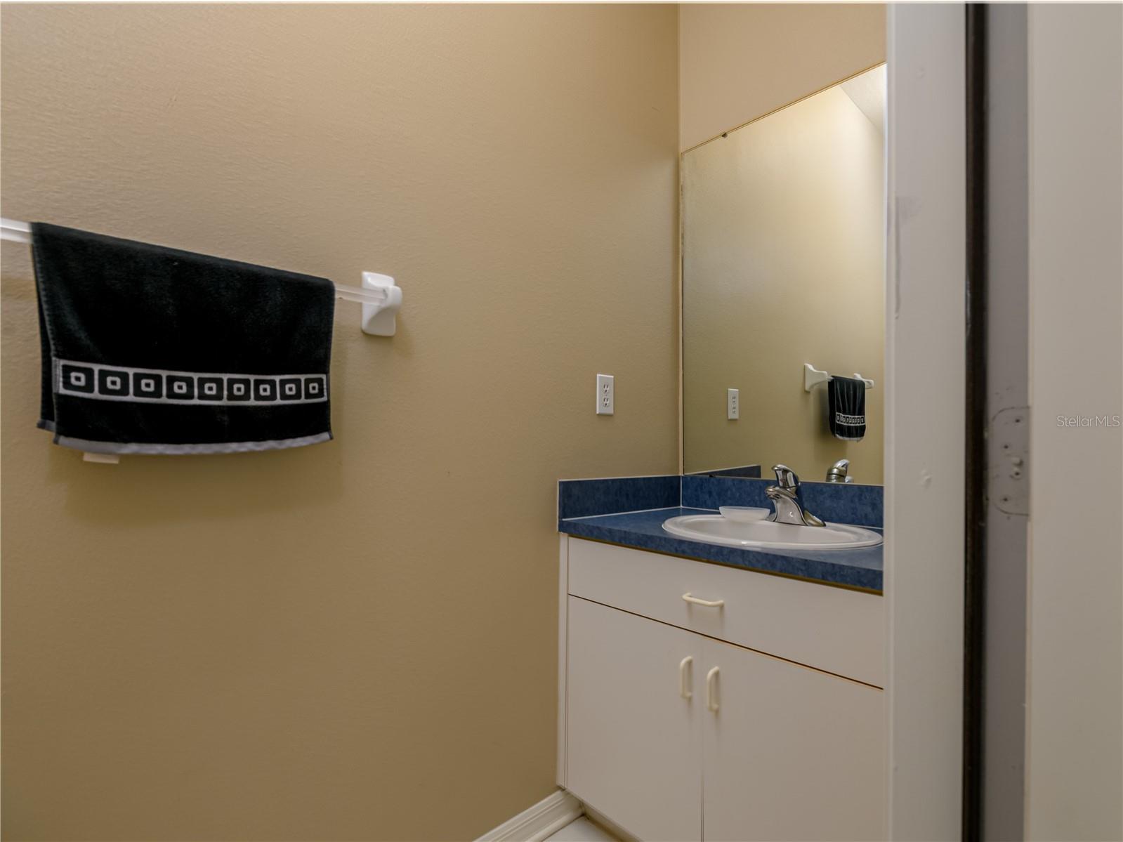 10515 Canary Isle Drive Tampa FL 33647 TB8487456 image45