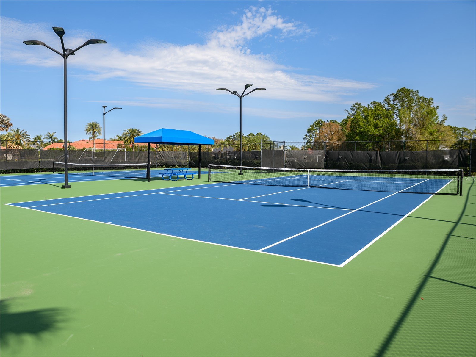 10515 Canary Isle Drive Tampa FL 33647 TB8487456 image55