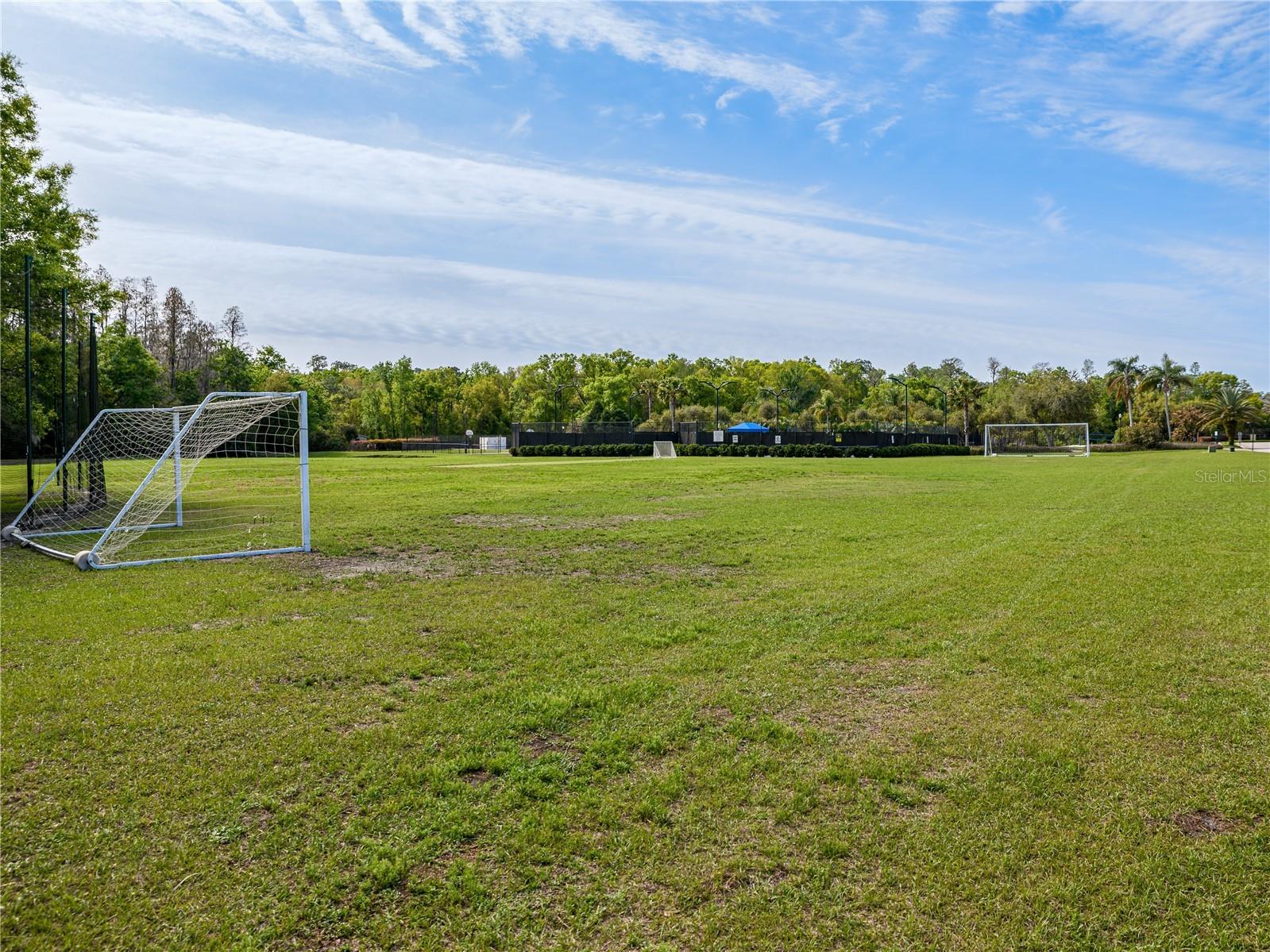 10515 Canary Isle Drive Tampa FL 33647 TB8487456 image57
