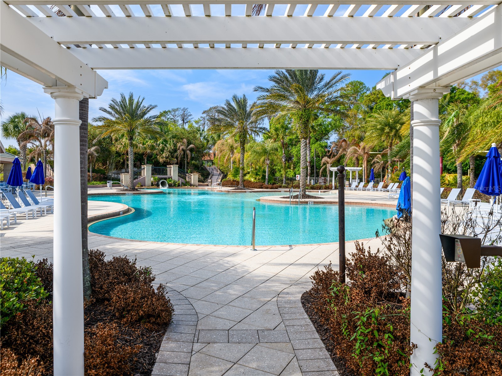 10515 Canary Isle Drive Tampa FL 33647 TB8487456 image58