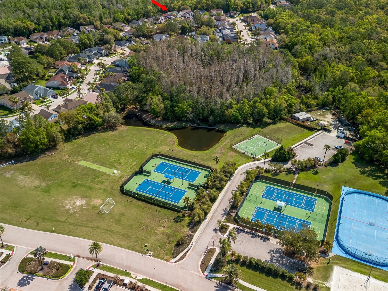 10515 Canary Isle Drive Tampa FL 33647 TB8487456 image60