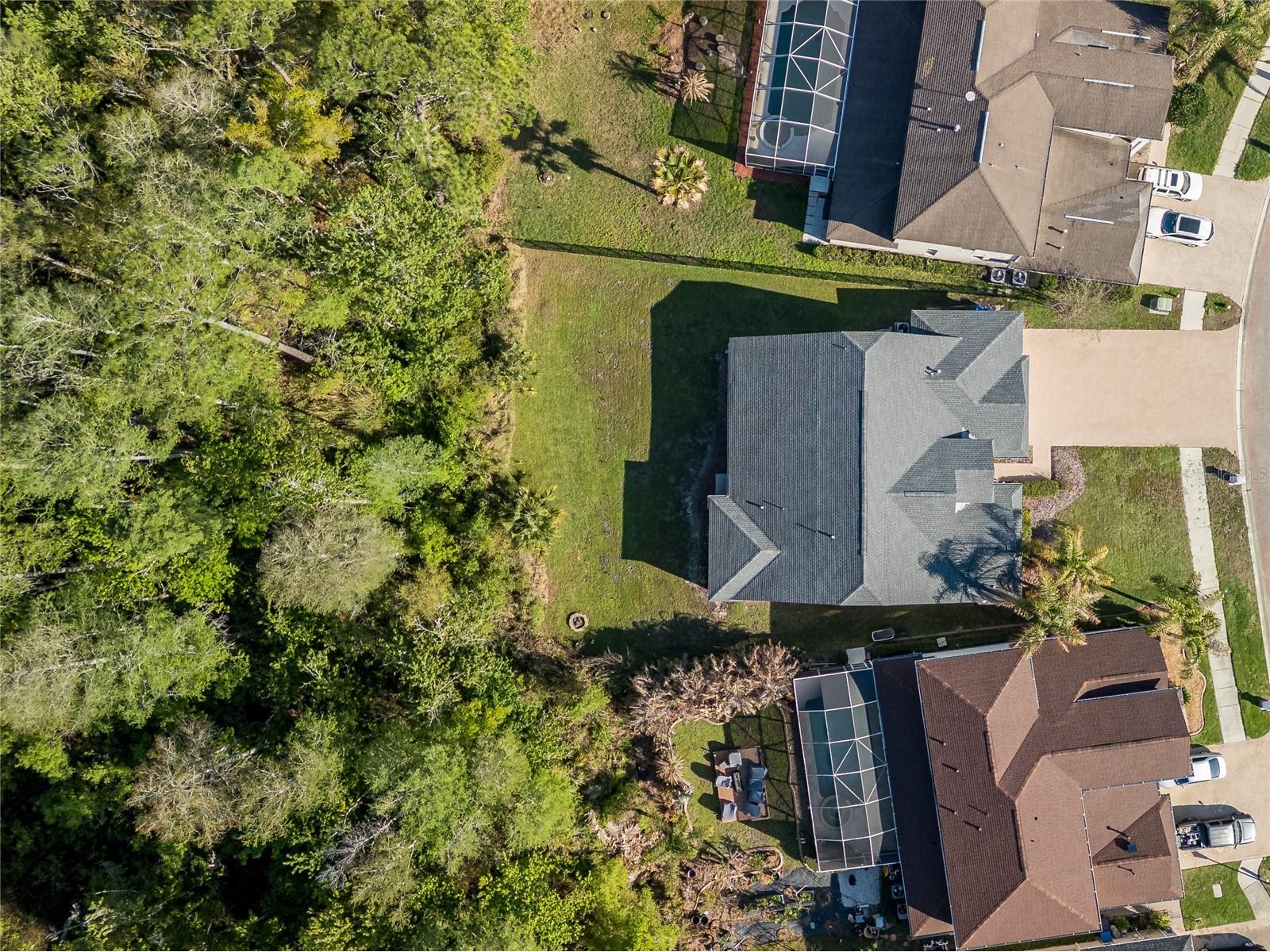 10515 Canary Isle Drive Tampa FL 33647 TB8487456 image73