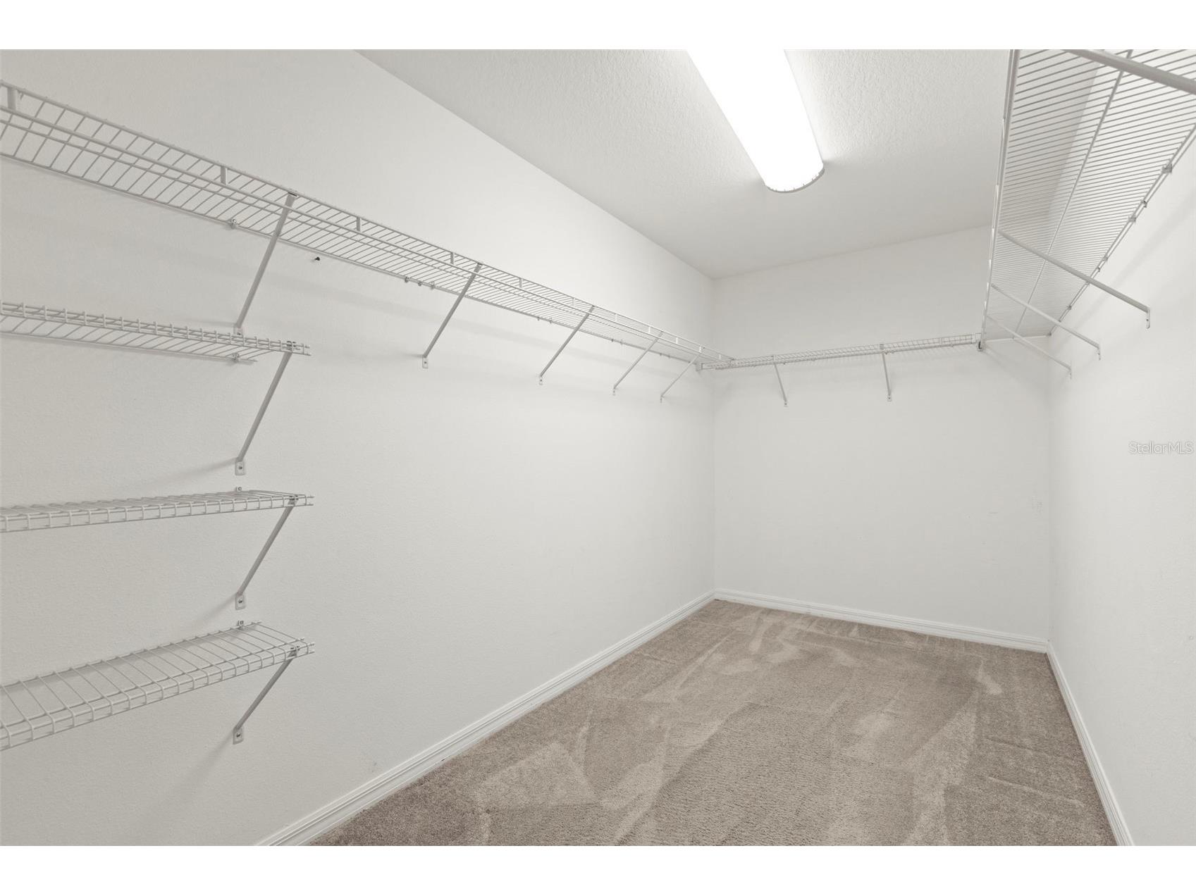 10515 Carloway Hills Drive Wimauma FL 33598 TB8521062 image32
