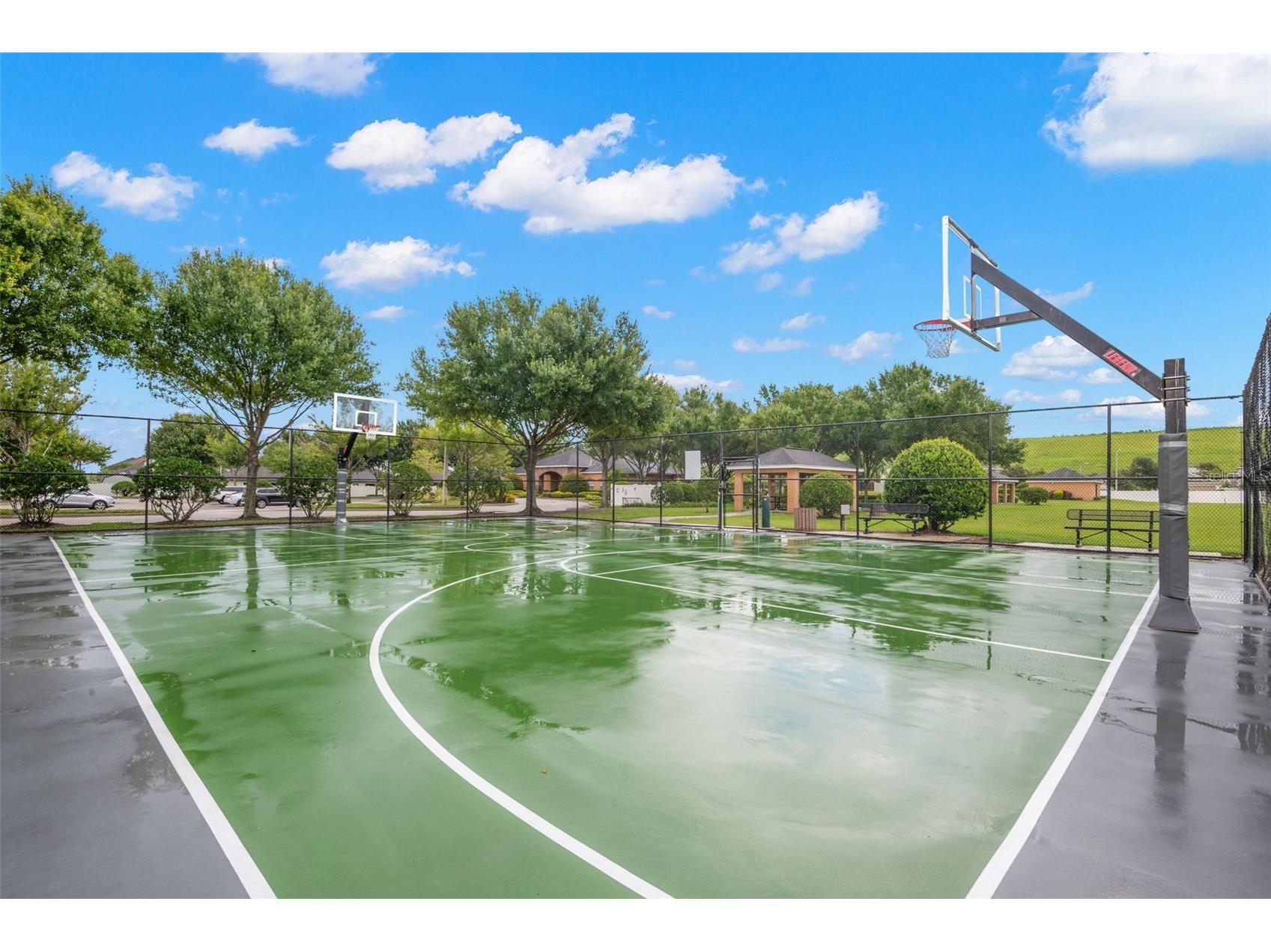 10515 Carloway Hills Drive Wimauma FL 33598 TB8521062 image65