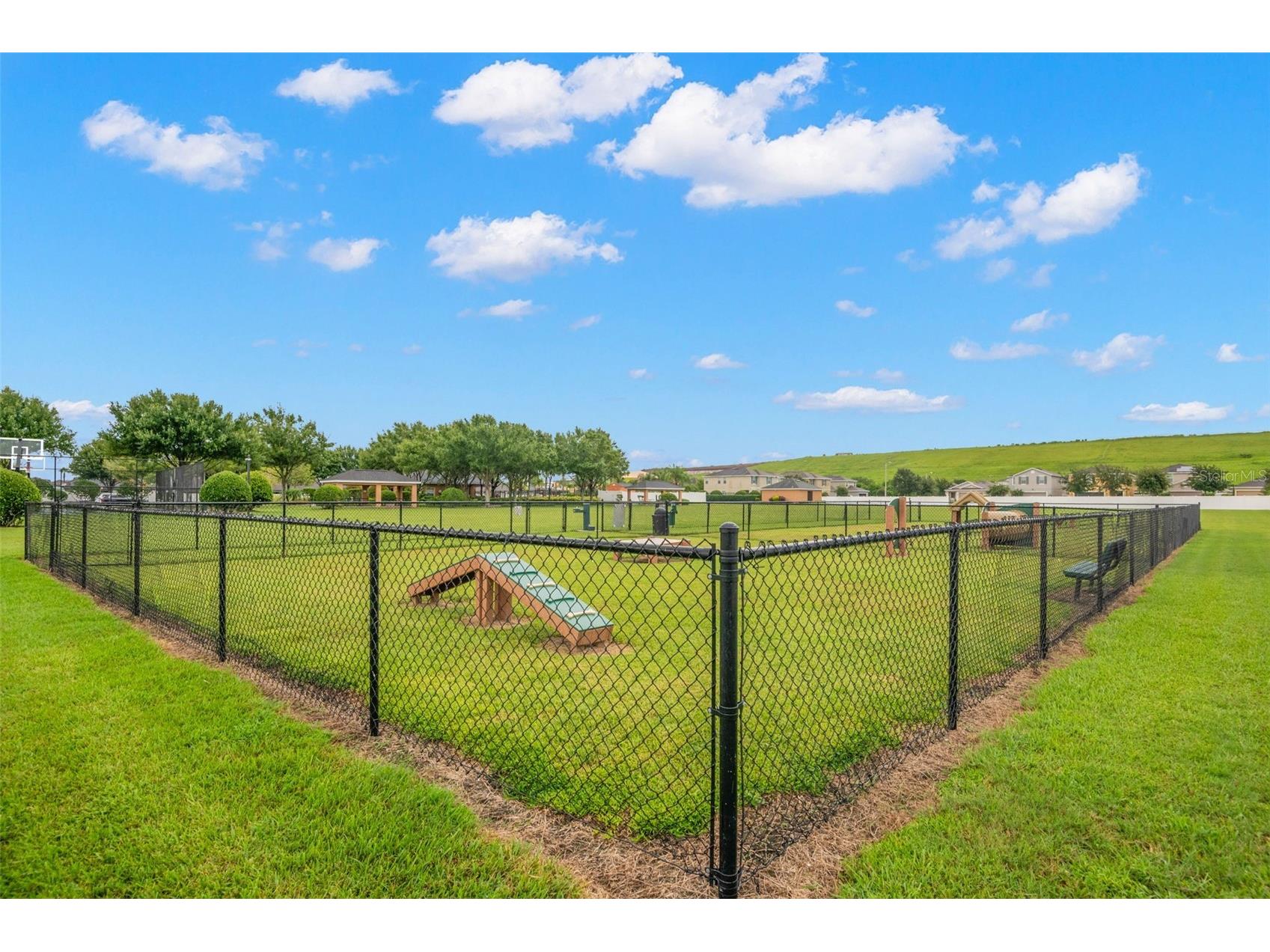 10515 Carloway Hills Drive Wimauma FL 33598 TB8521062 image66