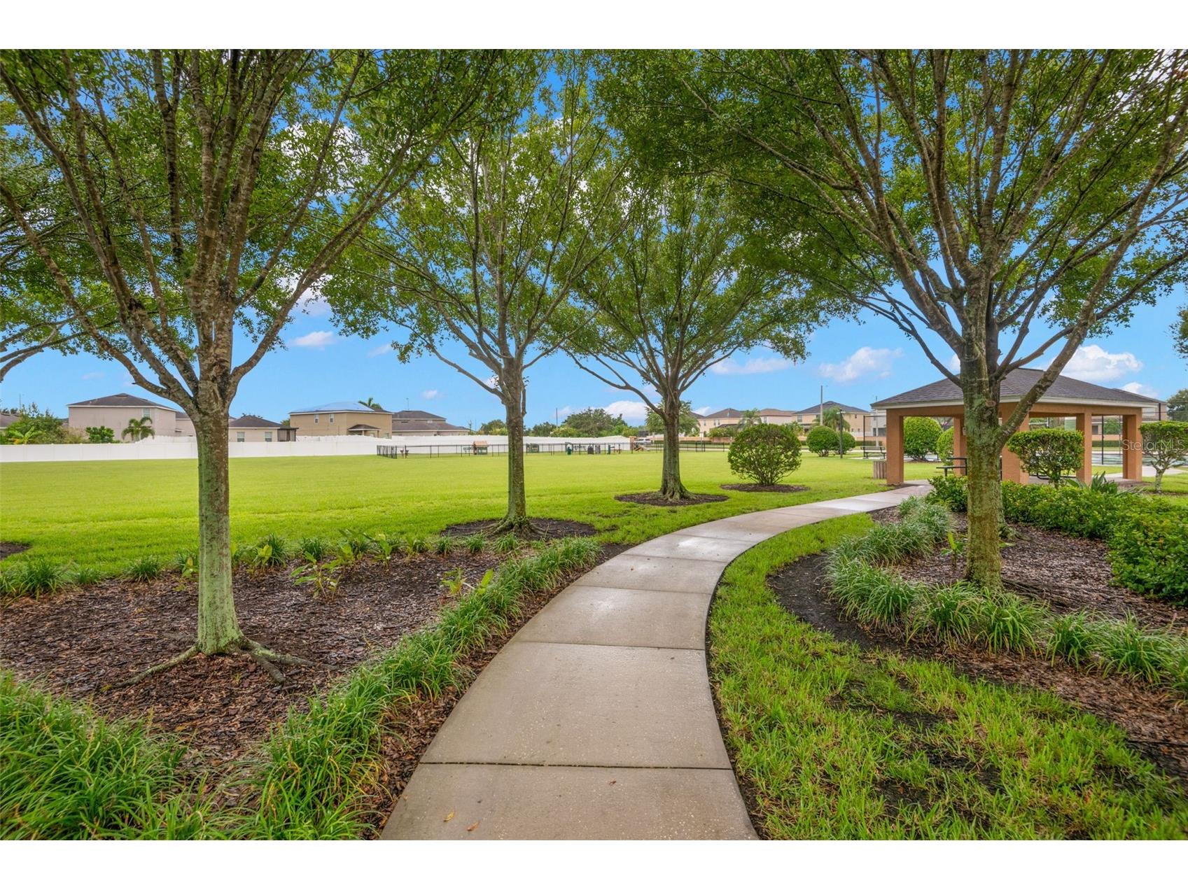 10515 Carloway Hills Drive Wimauma FL 33598 TB8521062 image67