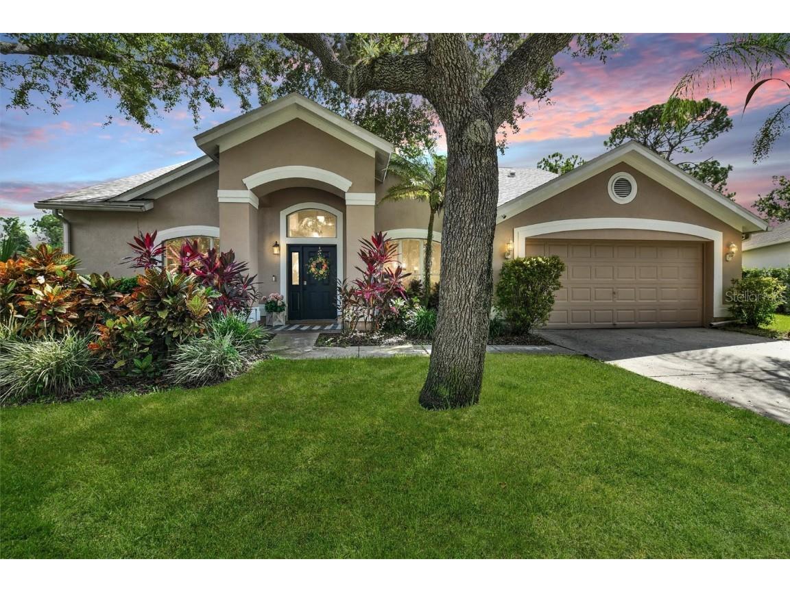 10515 Chambers Drive Tampa FL 33626 TB8418858 image1