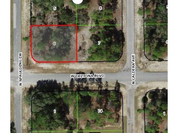 10515 N Spaulding Drive Citrus Springs FL 34433 C7507541 image1