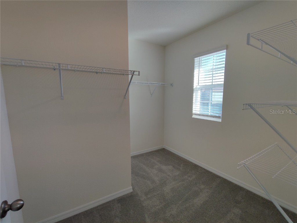 10515 Penny Gale Loop San Antonio FL 33576 TB8443249 image22