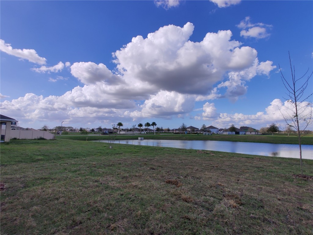 10515 Penny Gale Loop San Antonio FL 33576 TB8443249 image31