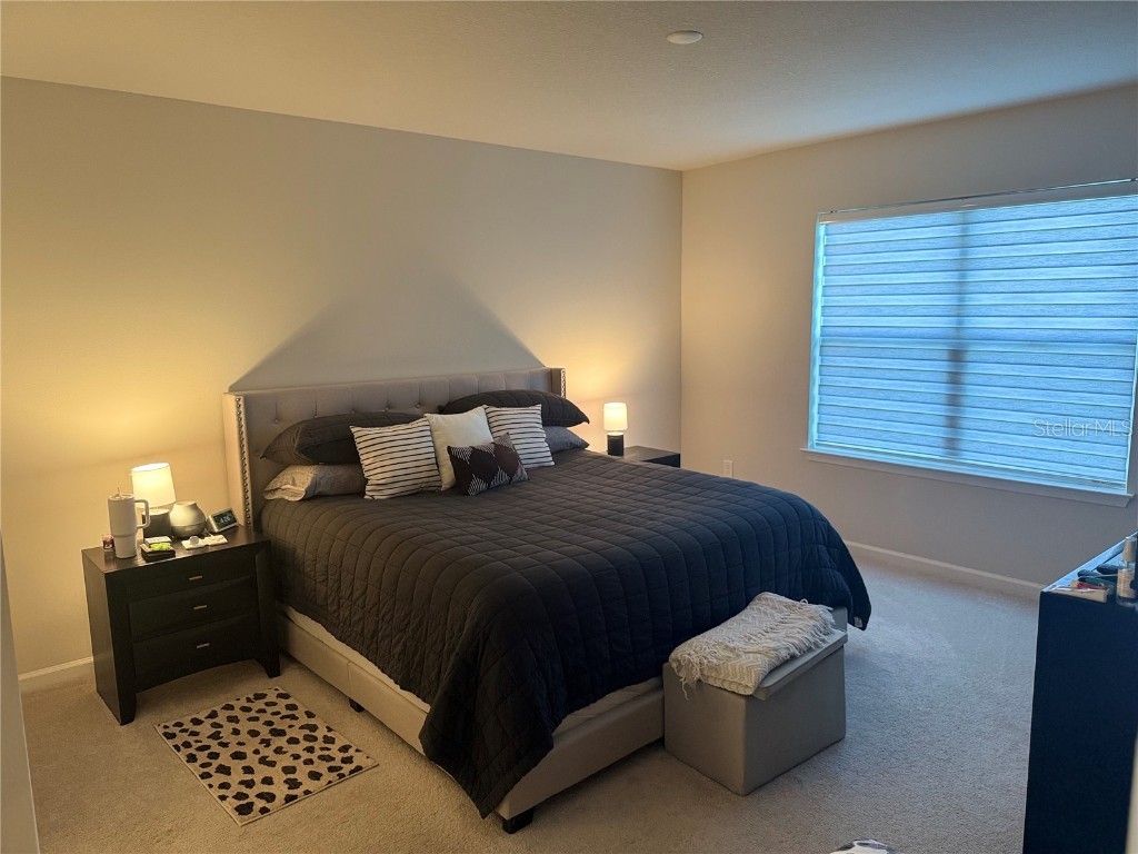 10516 Daybreak Glen Parrish FL 34219 TB8434626 image11