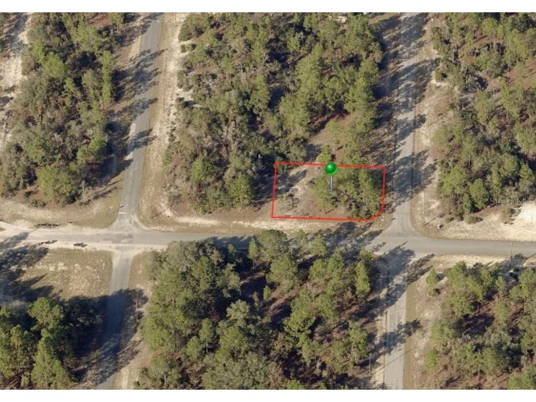 10516 N Caldera Avenue Citrus Springs FL 34433 G5084544 image1