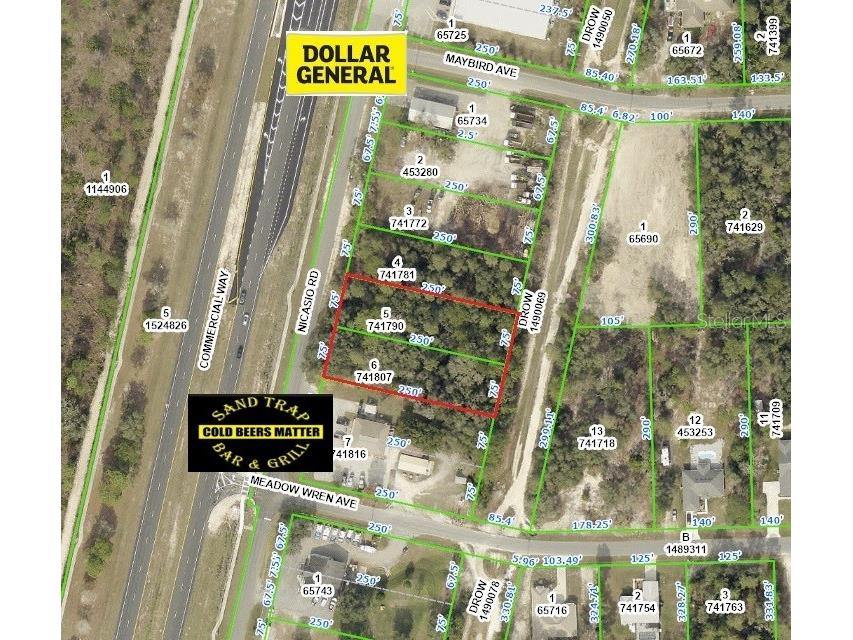 10516 Nicasio Road Weeki Wachee FL 34613 T3509453 image1