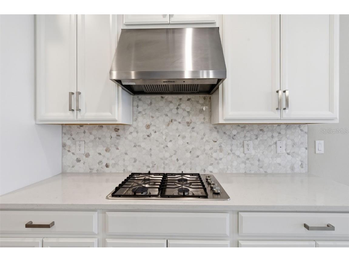 10516 Tranquil Meadow Loop Riverview FL 33569 TB8444154 image20