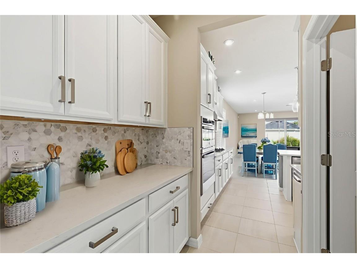 10516 Tranquil Meadow Loop Riverview FL 33569 TB8444154 image23