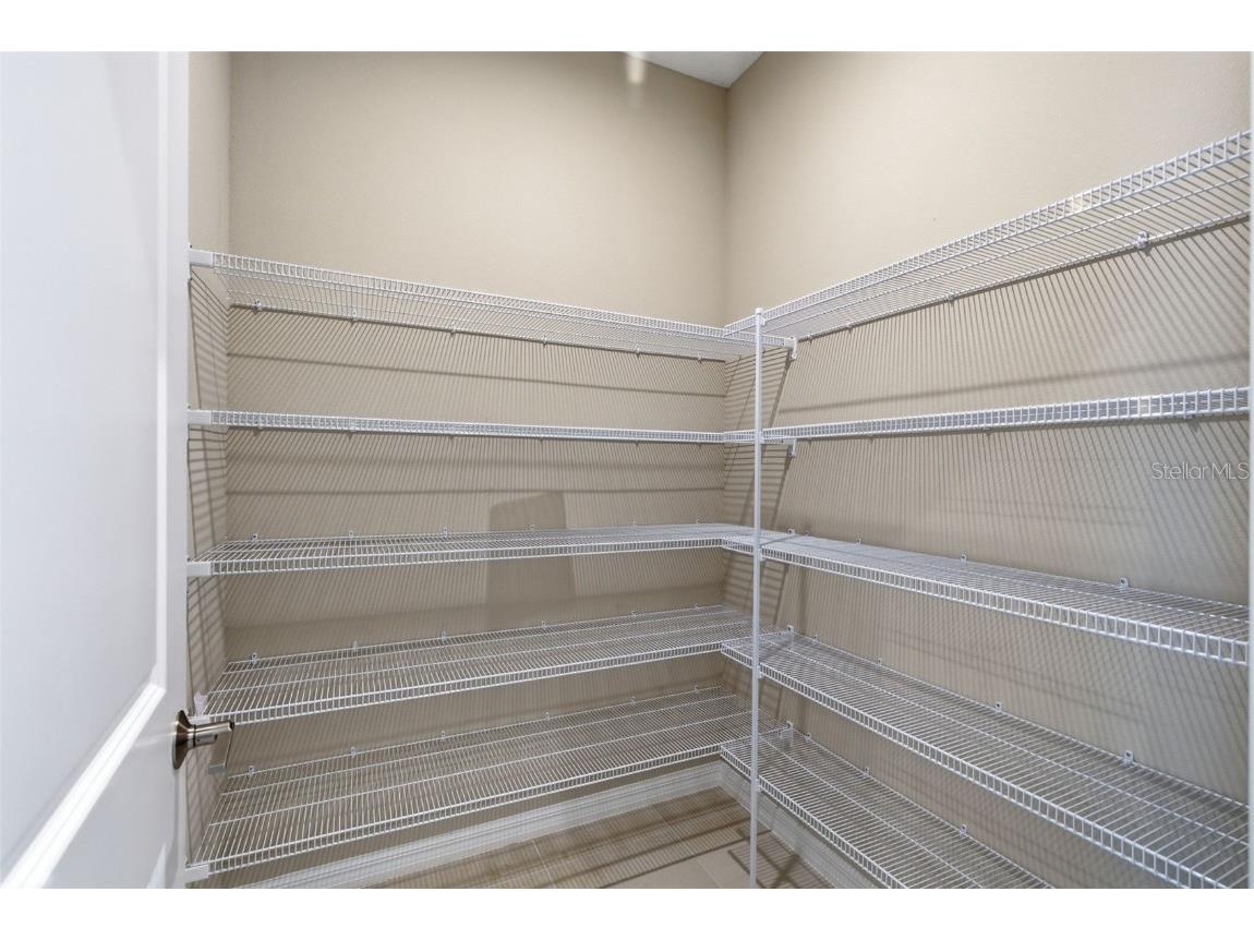 10516 Tranquil Meadow Loop Riverview FL 33569 TB8444154 image24