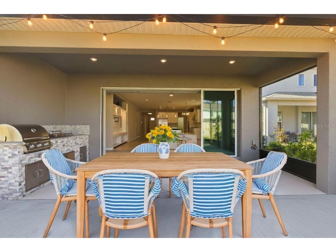 10516 Tranquil Meadow Loop Riverview FL 33569 TB8444154 image44