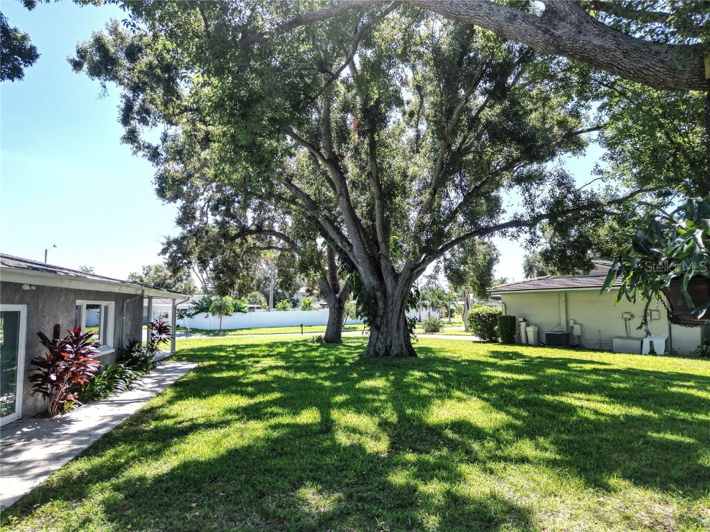 10517 Blossom Lake Drive Seminole FL 33772 TB8432034 image23