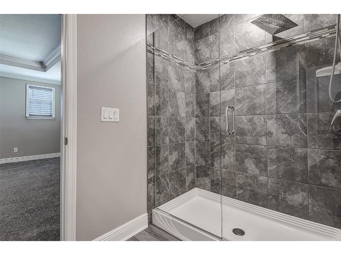 10517 Crestview Heights Avenue Thonotosassa FL 33592 TB8387238 image35