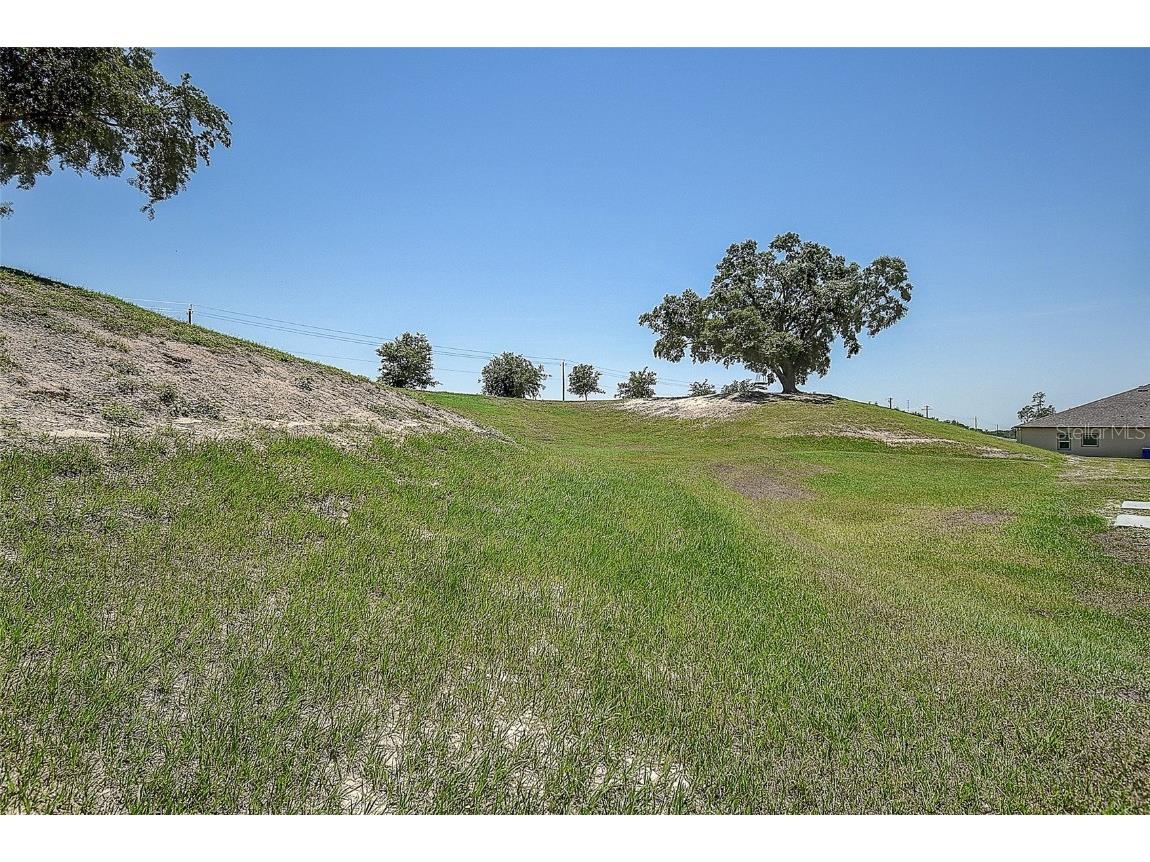 10517 Crestview Heights Avenue Thonotosassa FL 33592 TB8387238 image44