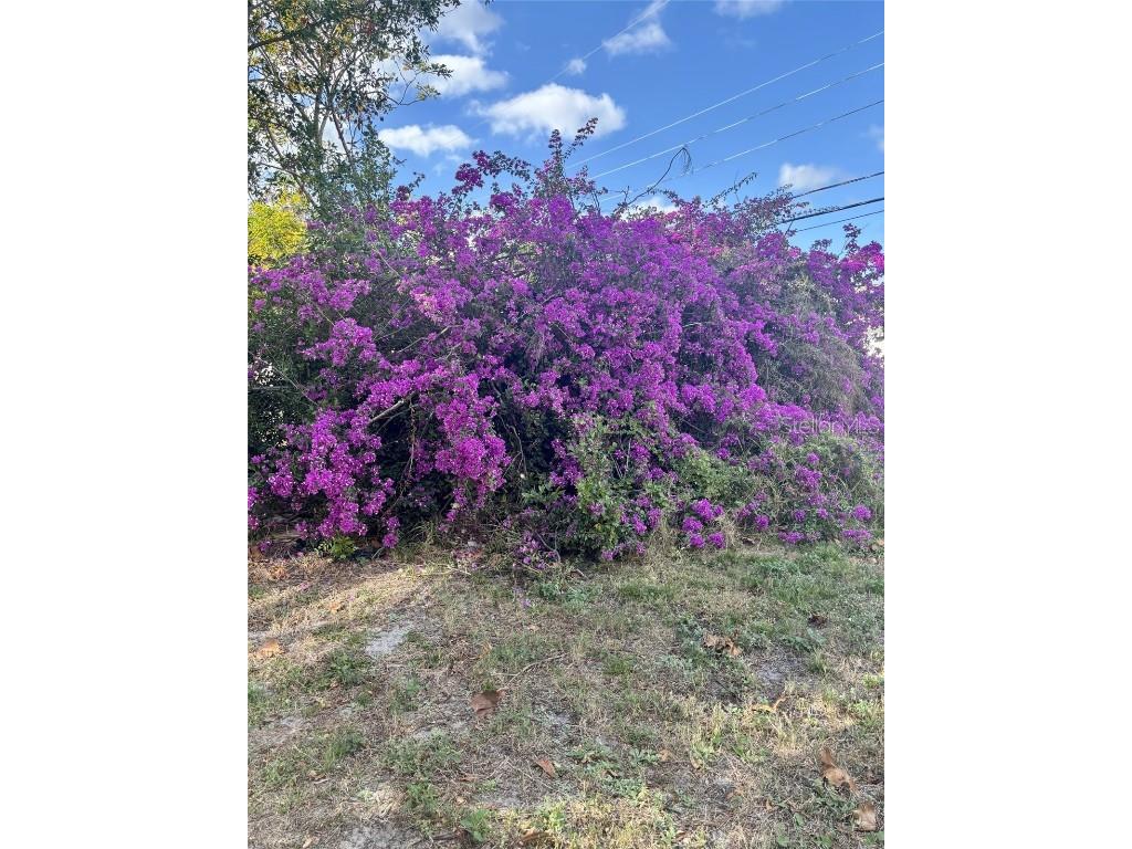 10517 Hibiscus Drive Port Richey FL 34668 TB8447991 image17