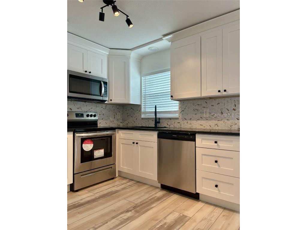 10517 Hibiscus Drive Port Richey FL 34668 TB8447991 image3