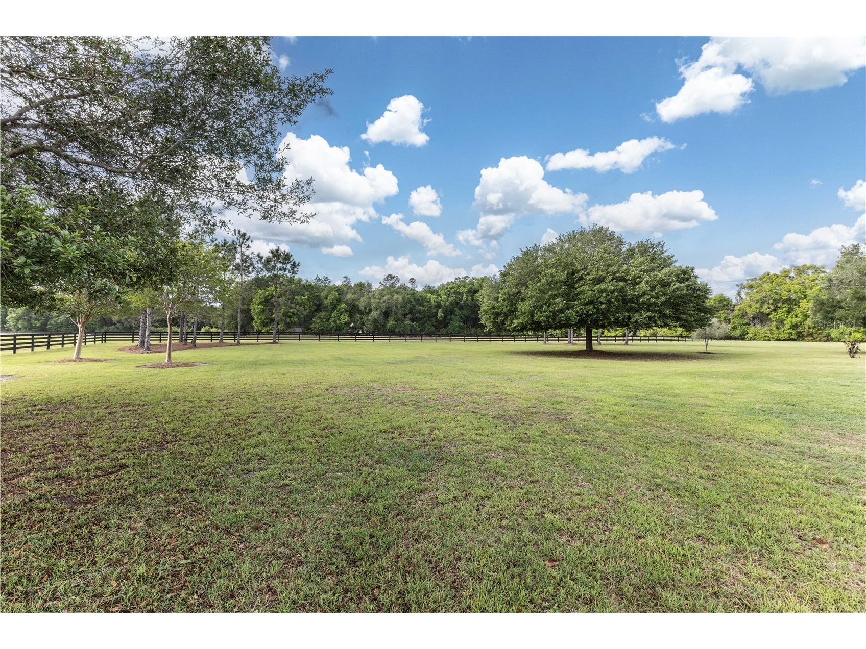 10517 NE 27th Street Oxford FL 34484 G5110645 image65