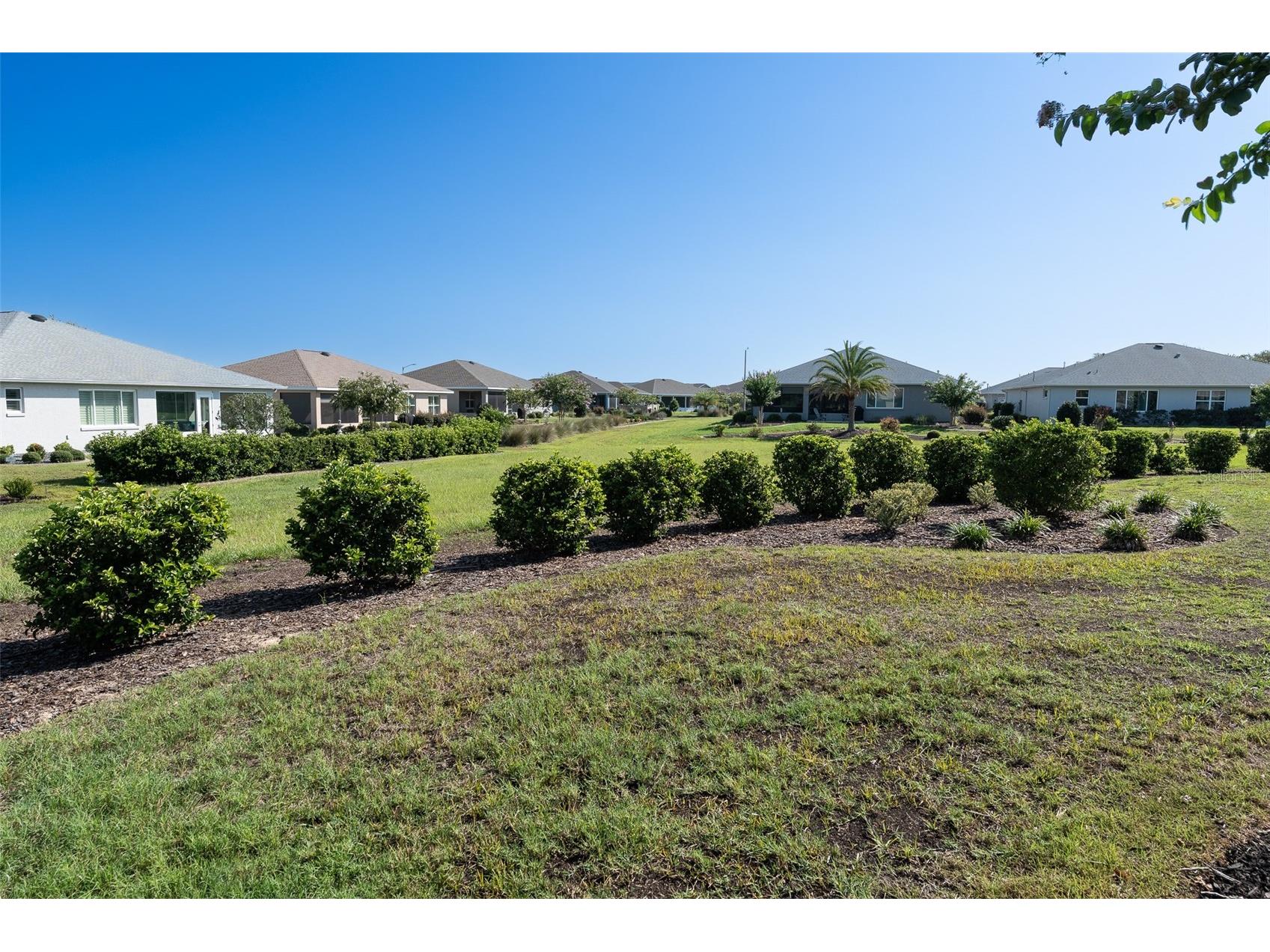 10517 SW 90th Street Road Ocala FL 34481 OM727926 image40