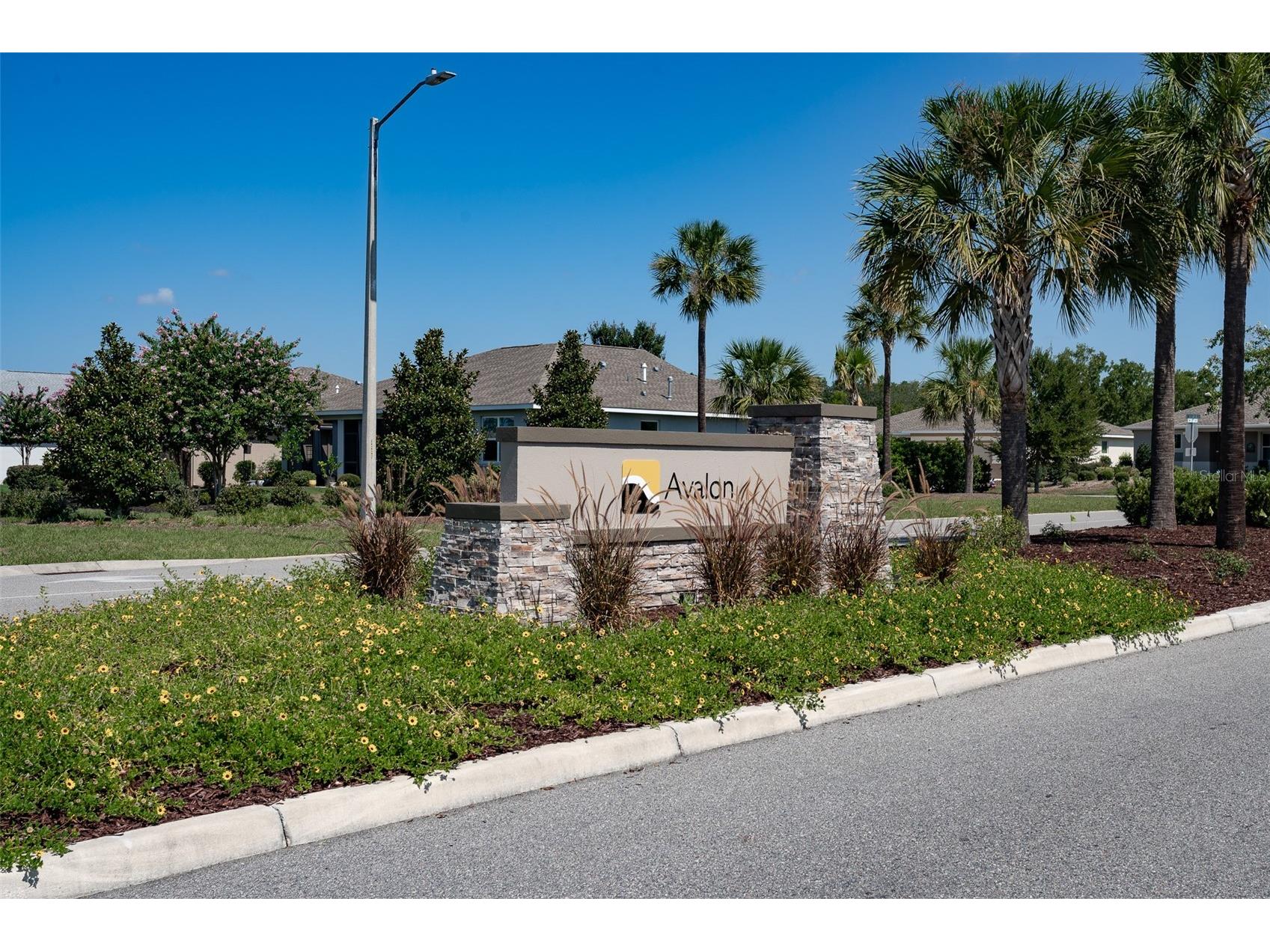10517 SW 90th Street Road Ocala FL 34481 OM727926 image43