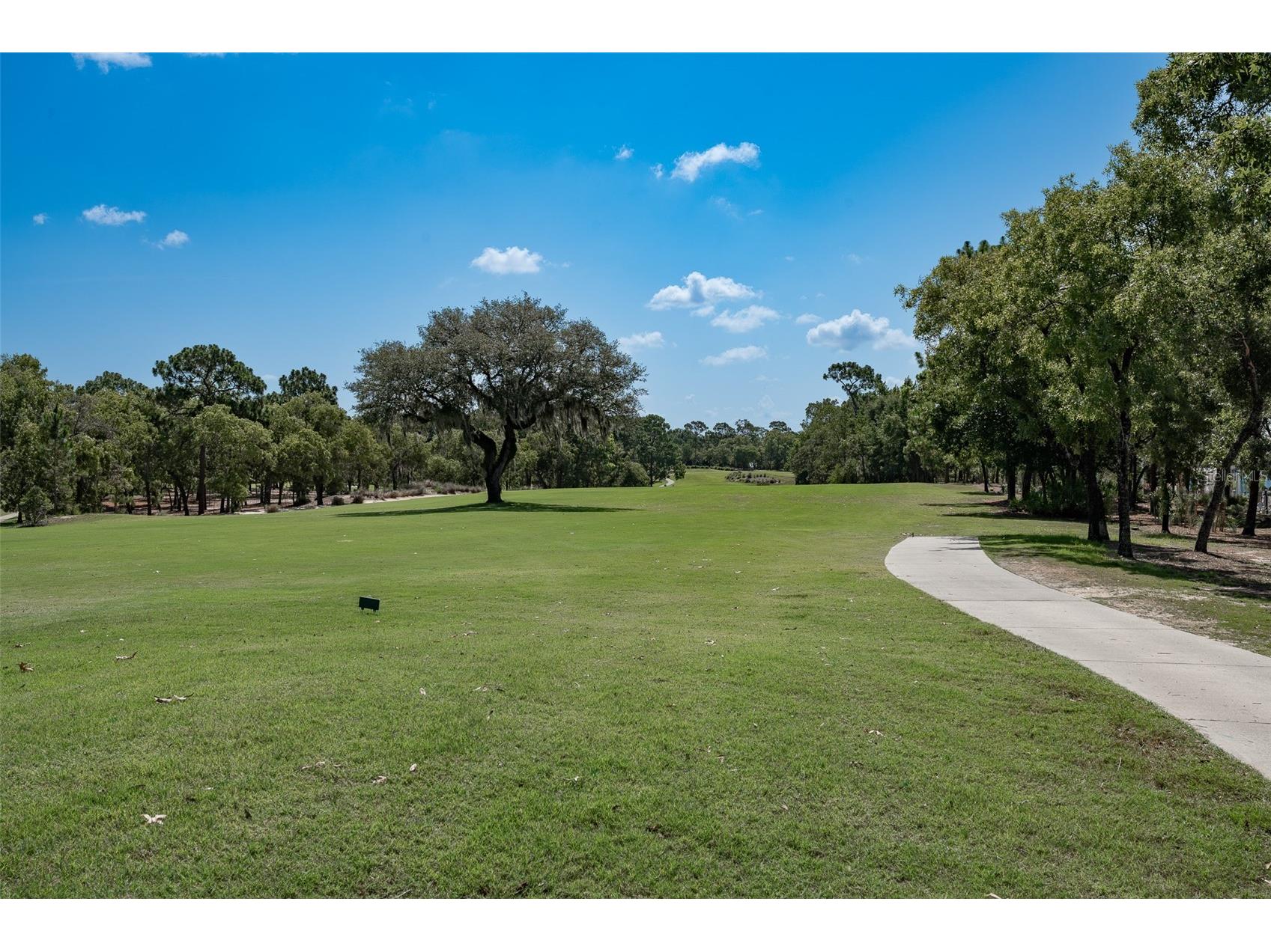 10517 SW 90th Street Road Ocala FL 34481 OM727926 image48